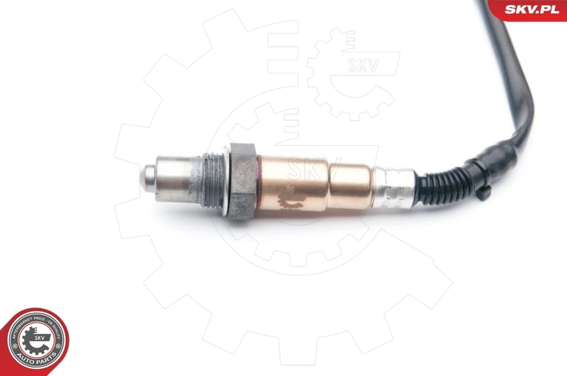 Oxygen Sensor 09SKV693