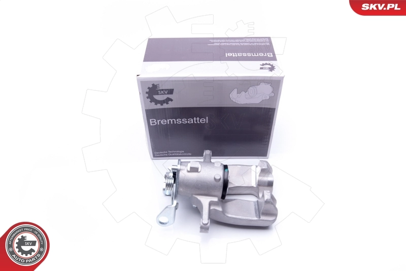 Brake Caliper 42SKV068