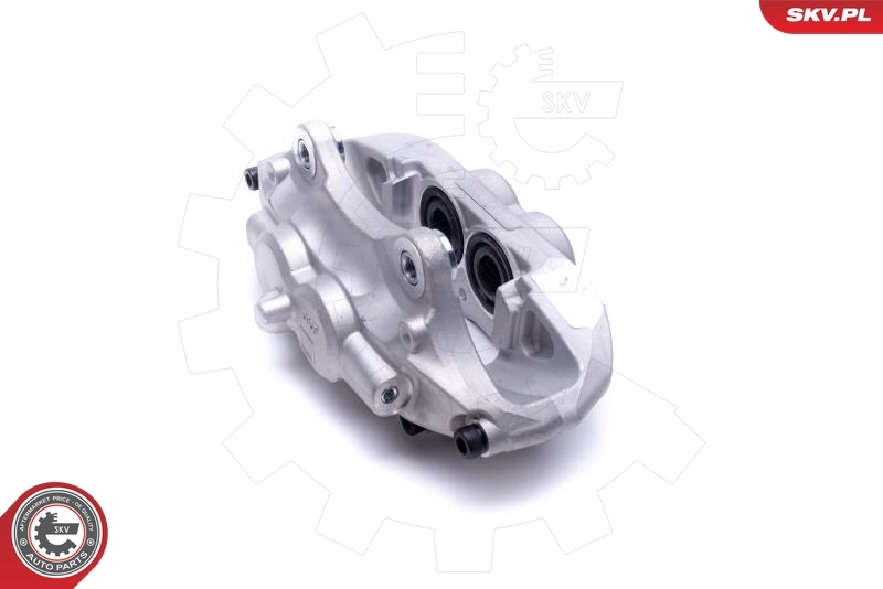 Brake Caliper 55SKV901