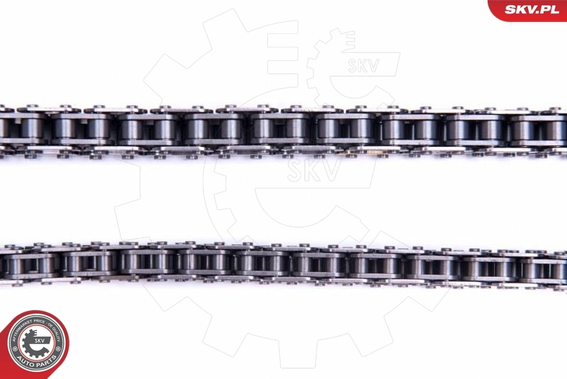 Timing Chain Kit 21SKV230