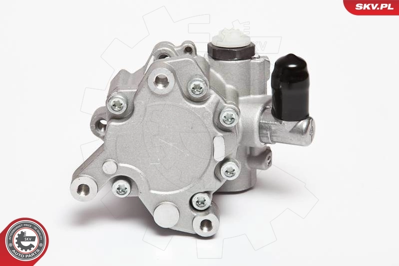 Hydraulic Pump, steering 10SKV043