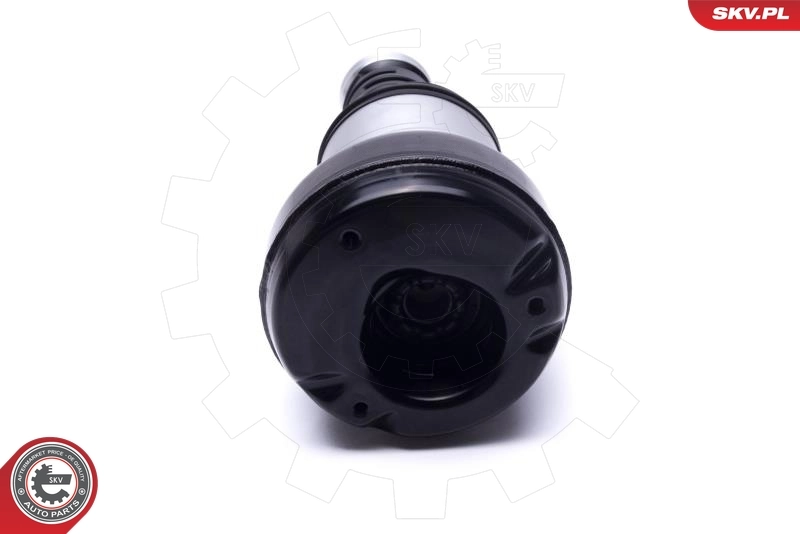 Air Suspension Strut 58SKV071