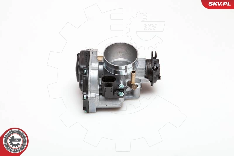 Throttle Body 12SKV003