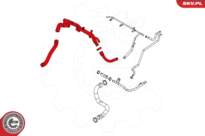 Radiator Hose 43SKV749