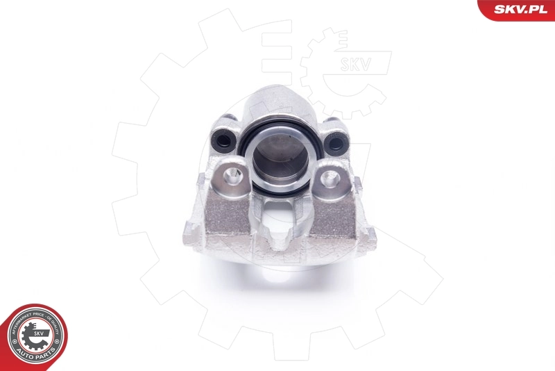Brake Caliper 23SKV861