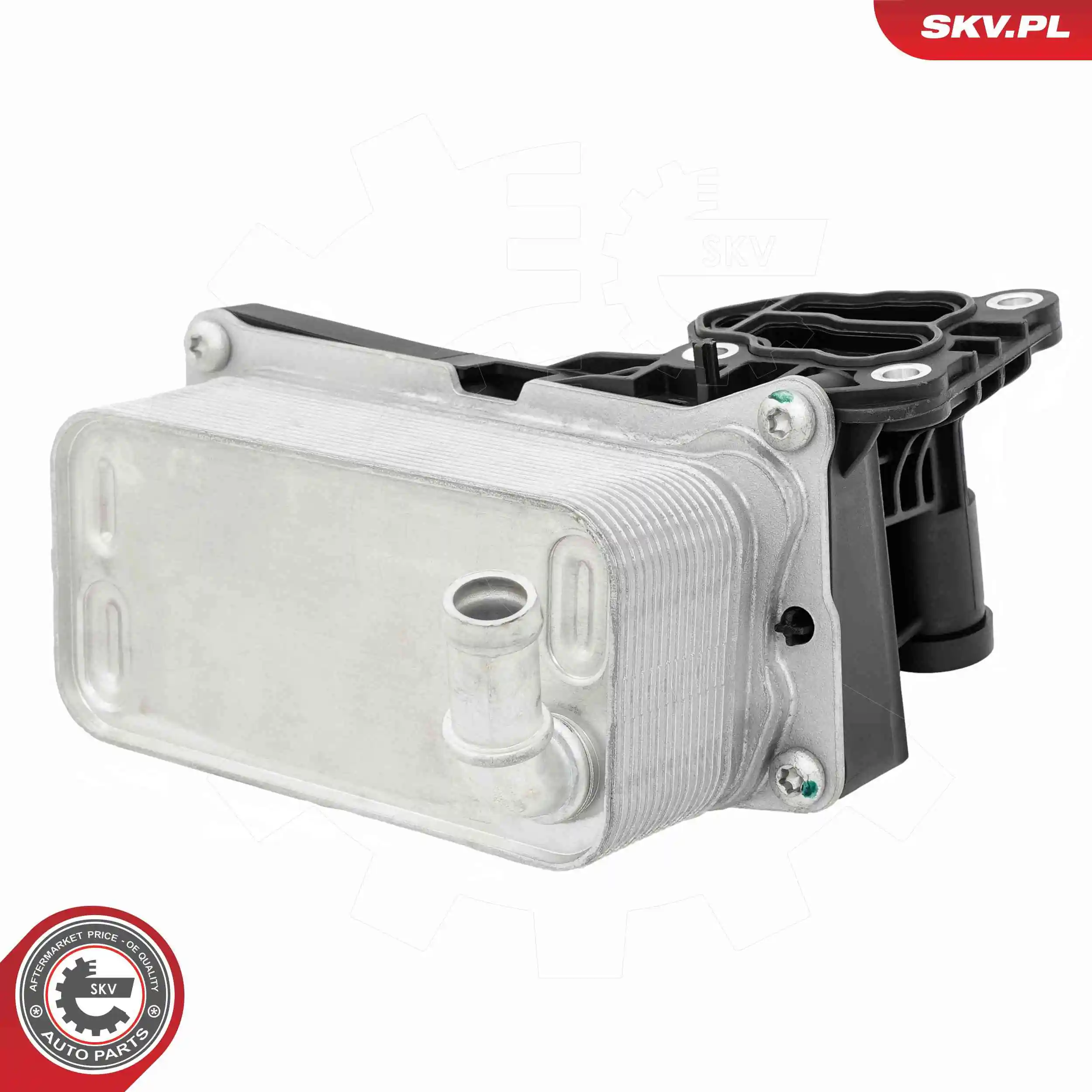 Oil Cooler, engine oil 31SKV439