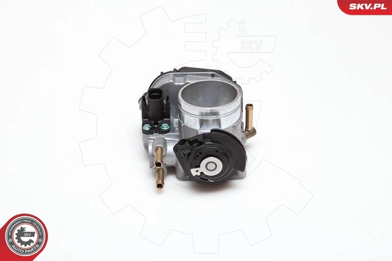 Throttle Body 12SKV010