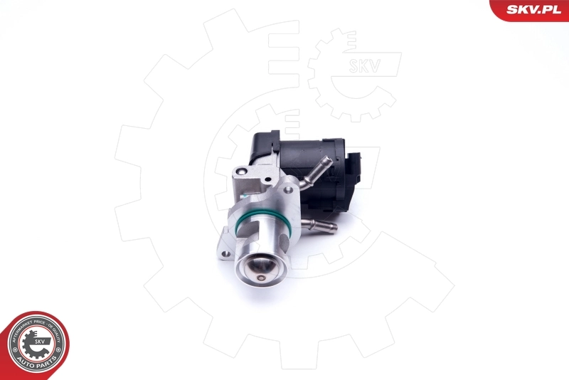 EGR Valve 14SKV169