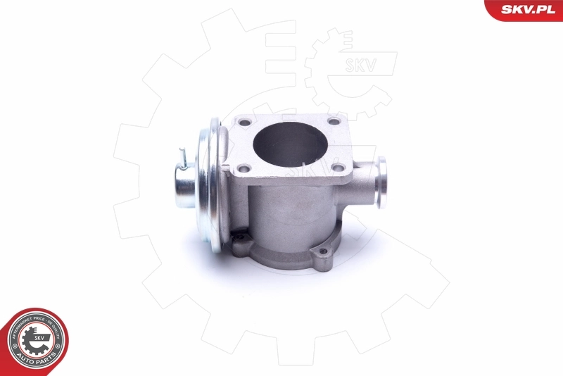 EGR Valve 14SKV177