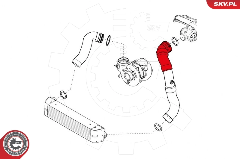 Charge Air Hose 43SKV121