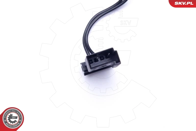 Switch, door lock system 16SKV258