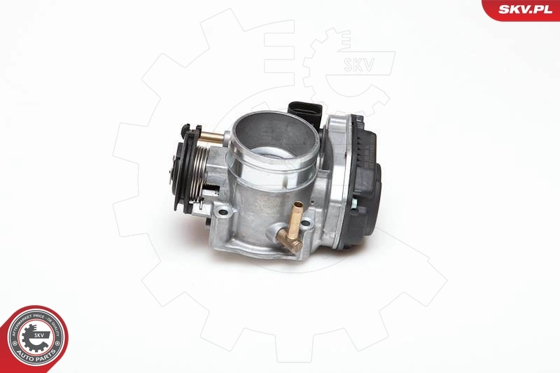 Throttle Body 12SKV009