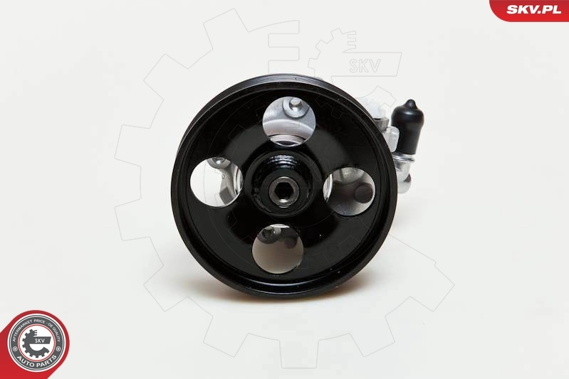 Hydraulic Pump, steering 10SKV009