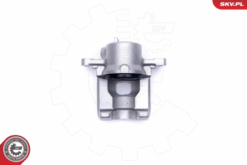 Brake Caliper 56SKV011