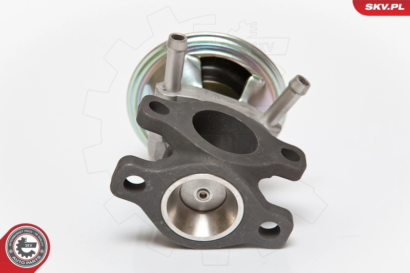 EGR Valve 14SKV062
