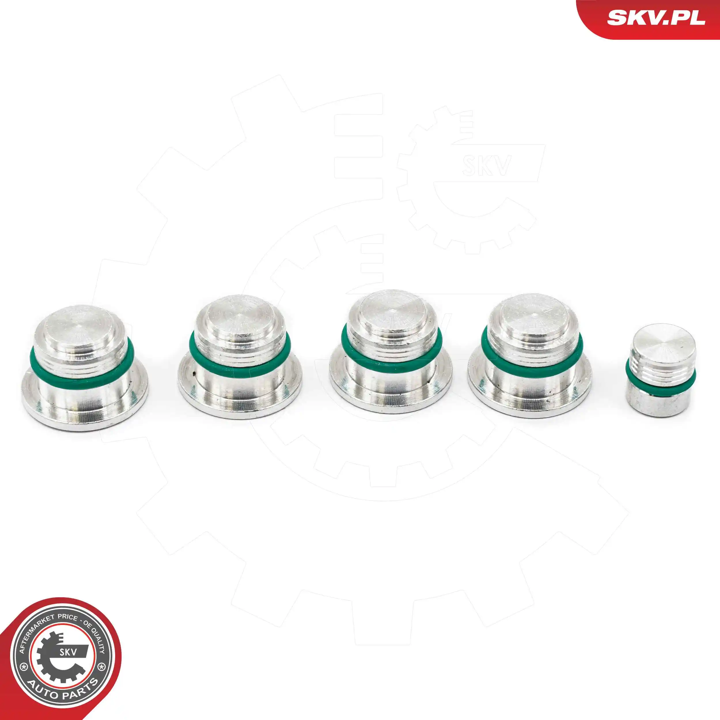 Repair Kit, intake manifold module 49SKV525