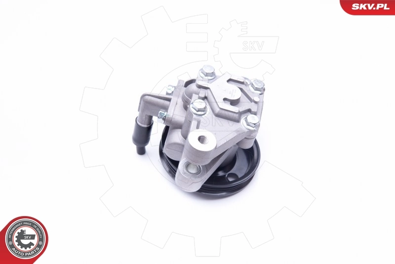 Hydraulic Pump, steering 10SKV262