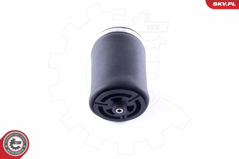Air Spring, suspension 58SKV001