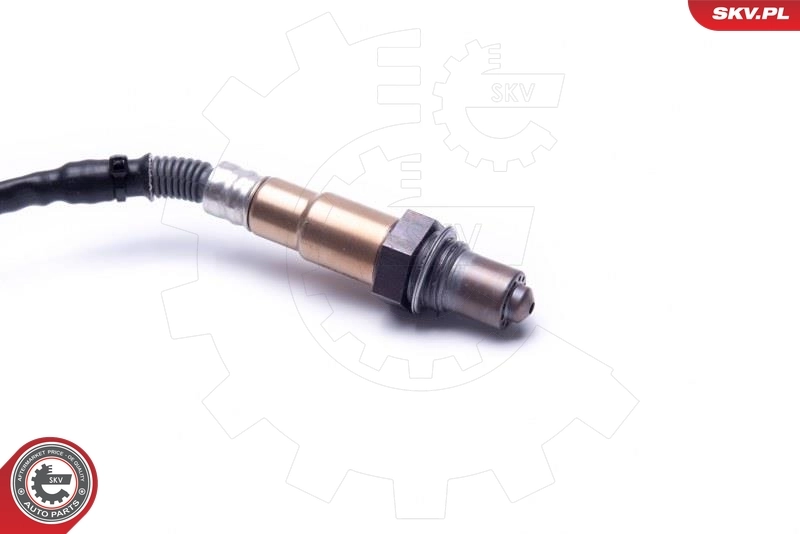 Oxygen Sensor 09SKV423