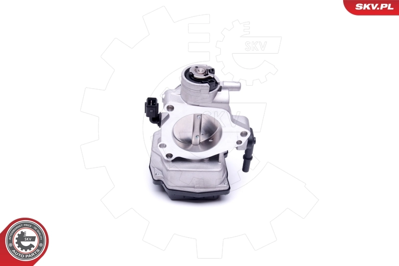 Throttle Body 12SKV071