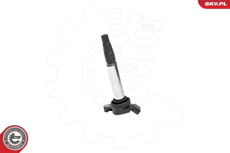 Ignition Coil 03SKV173