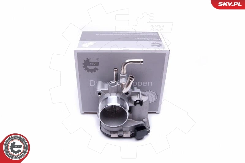 Throttle Body 12SKV093