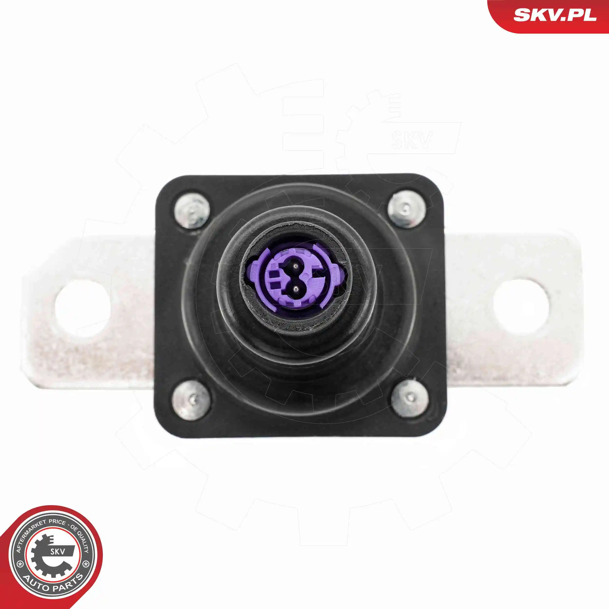 ESEN SKV 96SKV328 Sensor, battery management