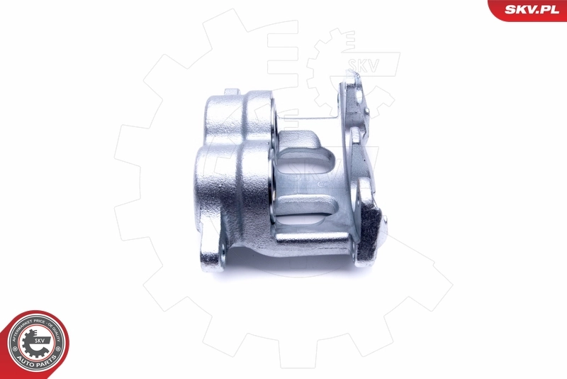 Brake Caliper 46SKV092
