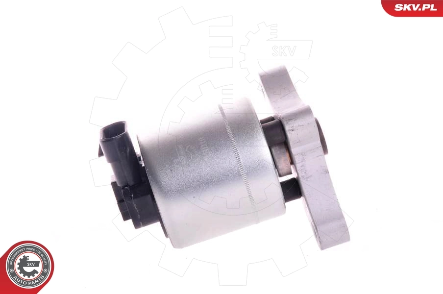 EGR Valve 14SKV004