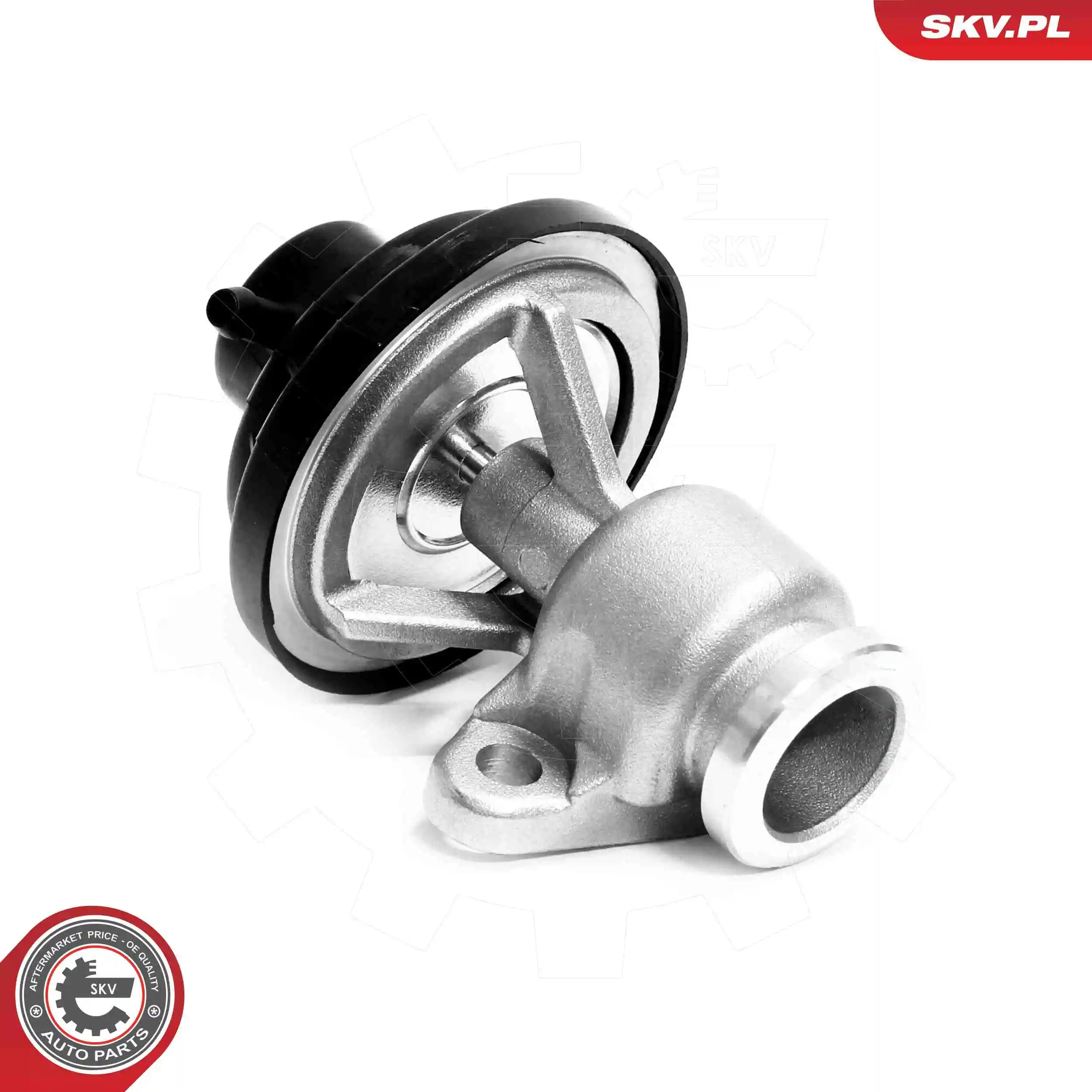 EGR Valve 14SKV321