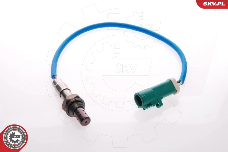 Oxygen Sensor 09SKV048