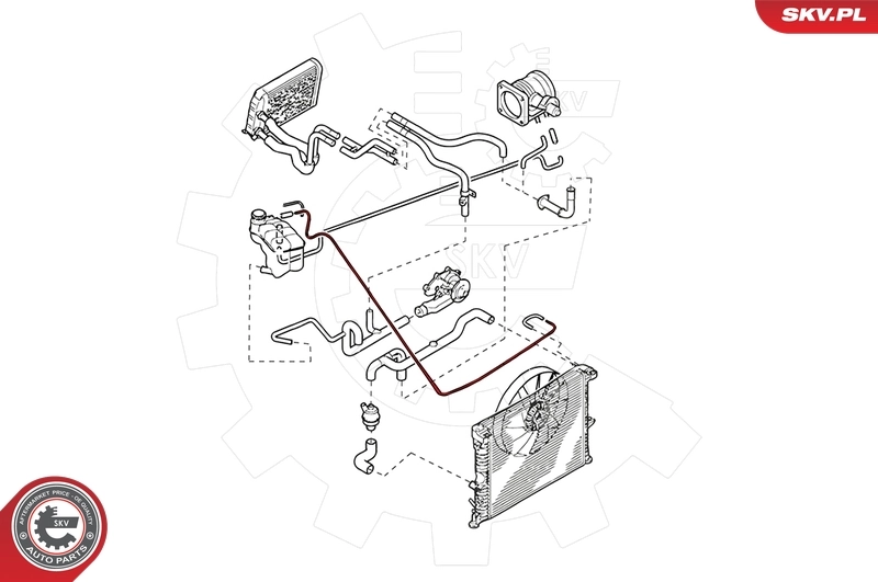 Radiator Hose 24SKV289