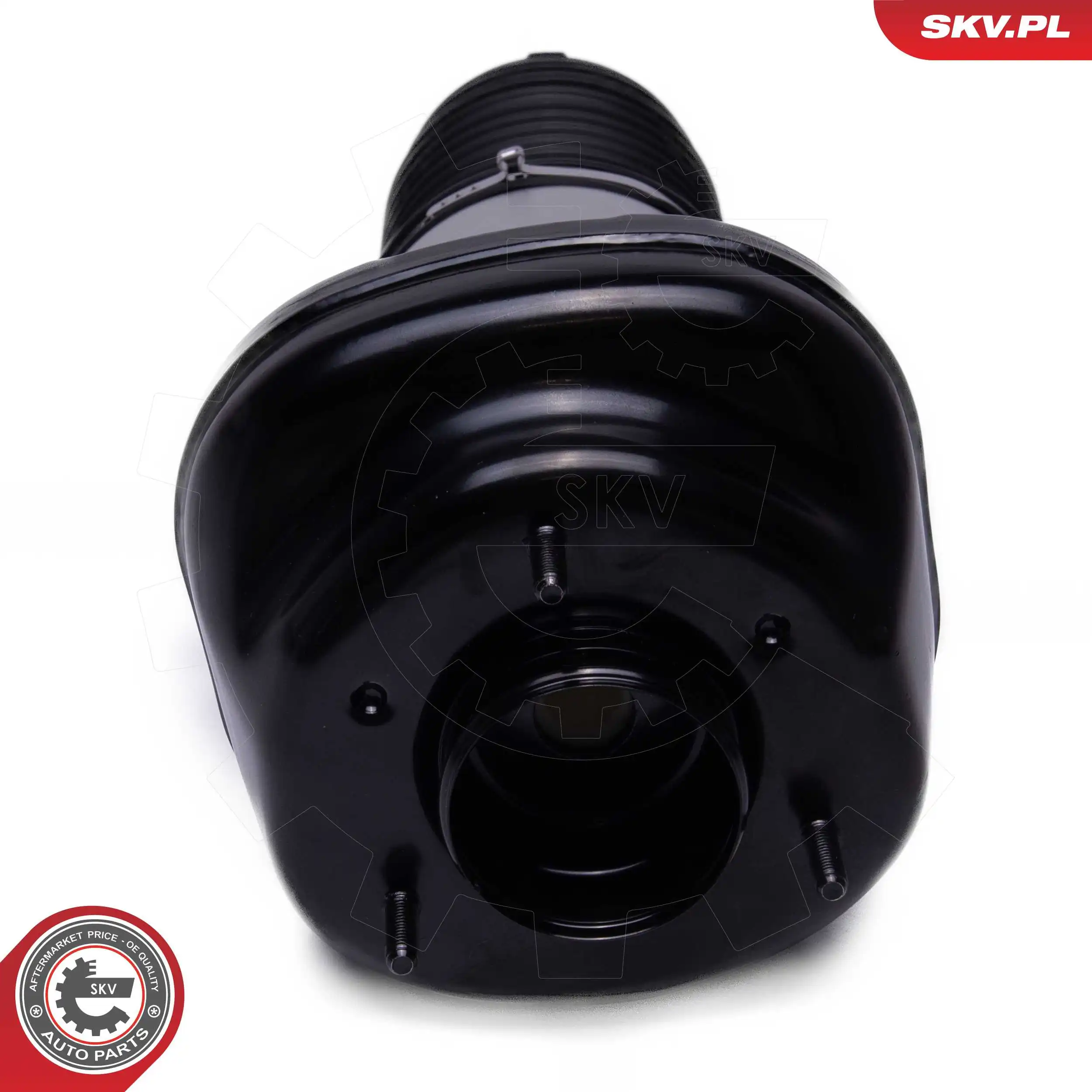 Air Suspension Strut 58SKV082