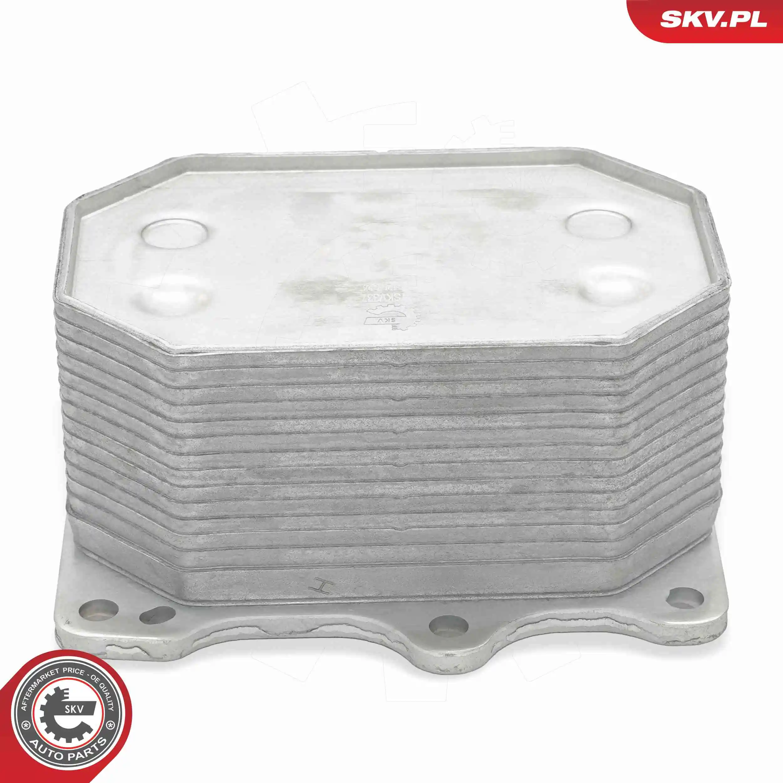 Oil Cooler, engine oil 31SKV337