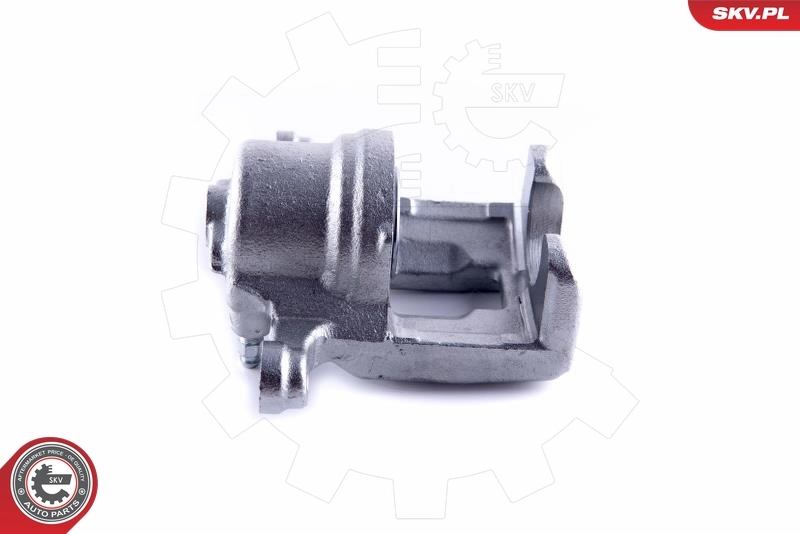 Brake Caliper 55SKV023