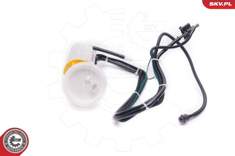 Fuel Feed Unit 02SKV779