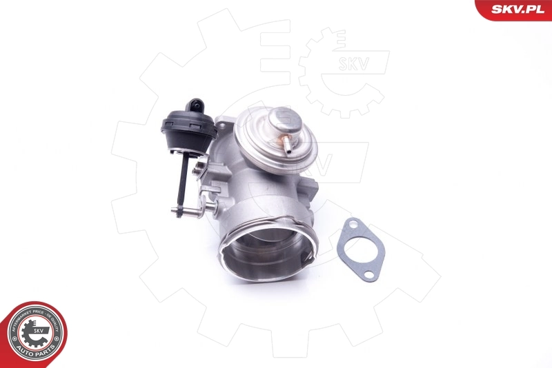 EGR Valve 14SKV091