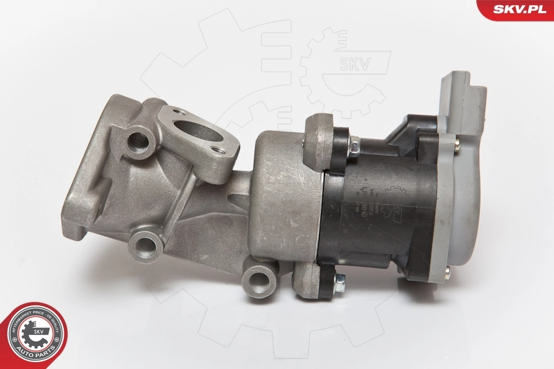 EGR Valve 14SKV073