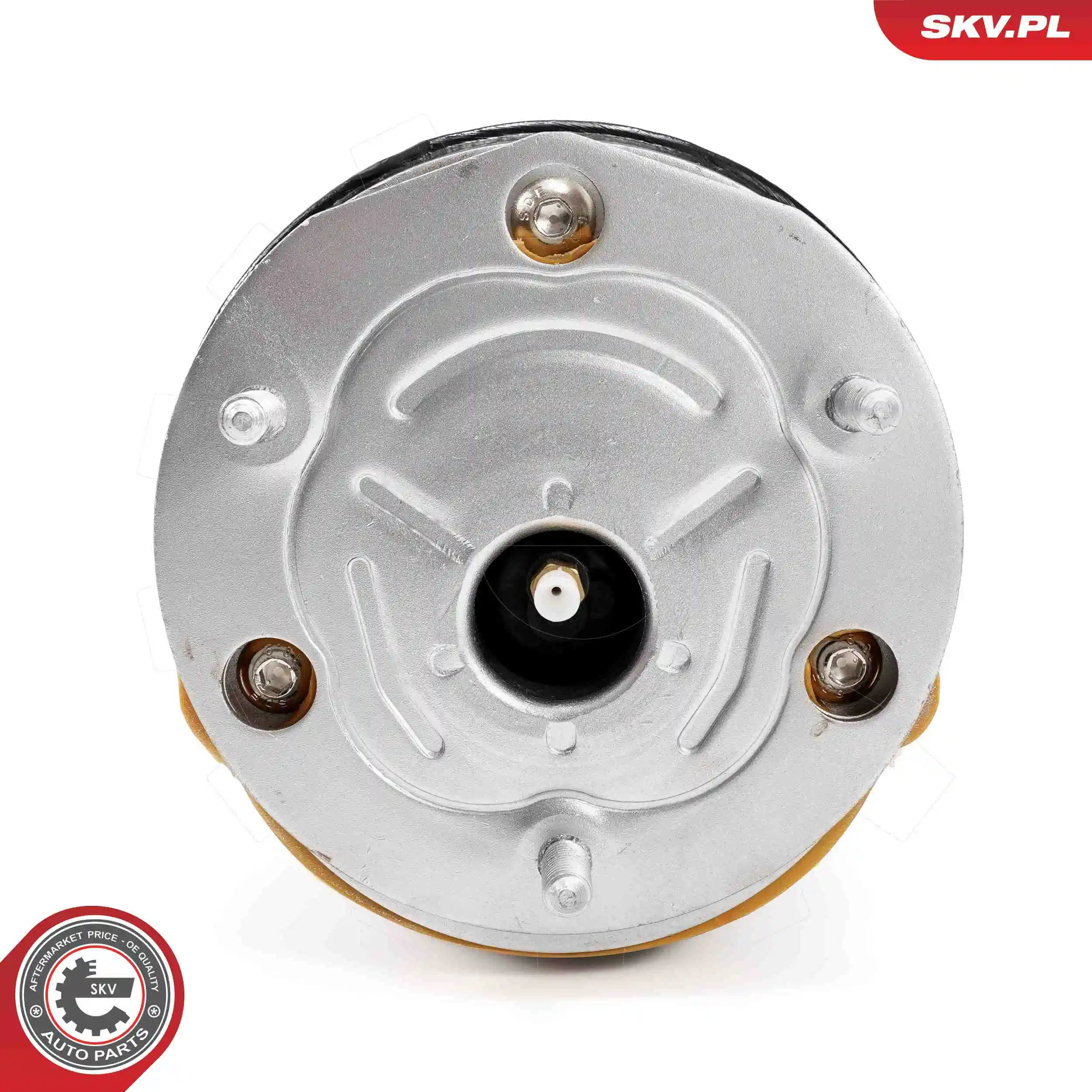 Air Suspension Strut 58SKV726