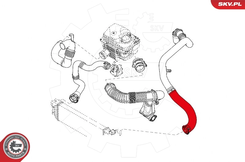 Charge Air Hose 43SKV109