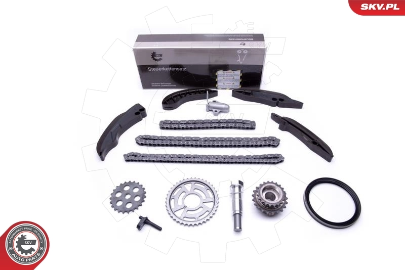 Timing Chain Kit 21SKV196