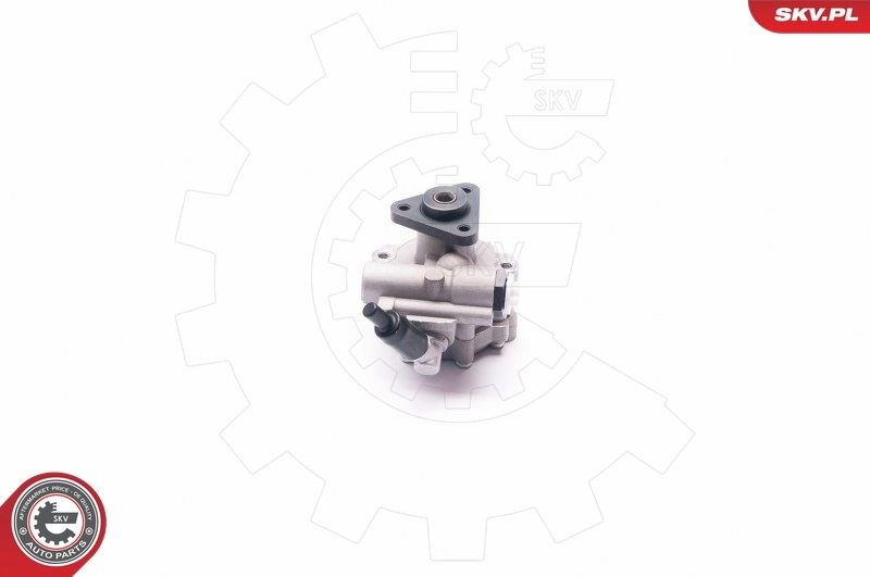 Hydraulic Pump, steering 10SKV030