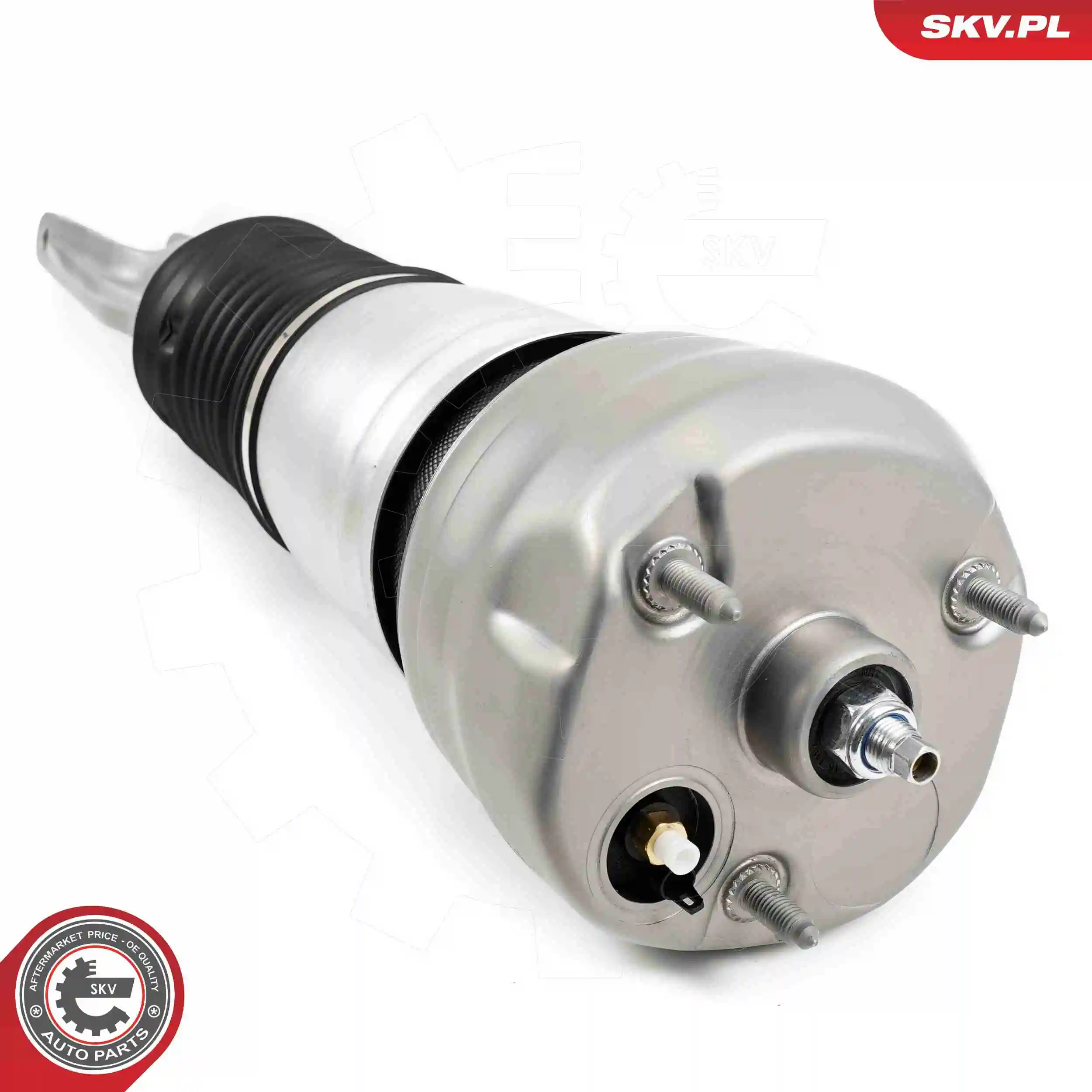 Air Suspension Strut 58SKV705