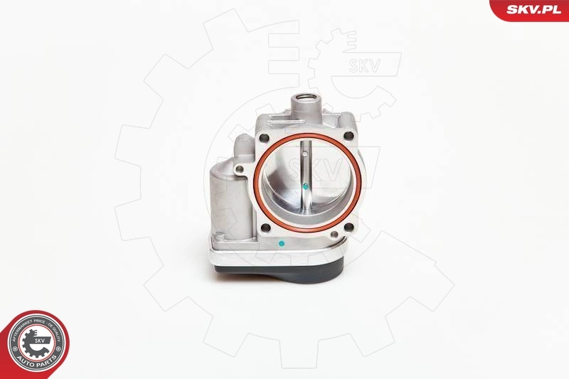 Throttle Body 12SKV040