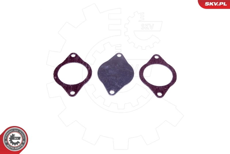 ESEN SKV 14SKV574 Repair Set, EGR valve