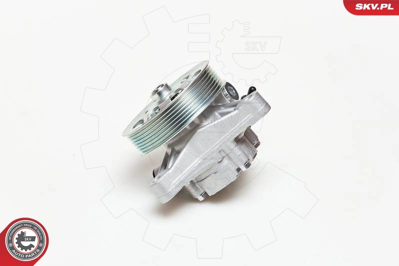 Hydraulic Pump, steering 10SKV076