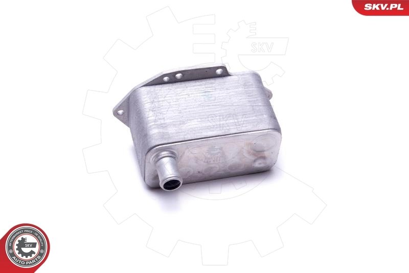 Oil Cooler, engine oil 31SKV221