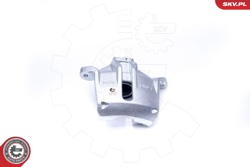 Brake Caliper 42SKV841