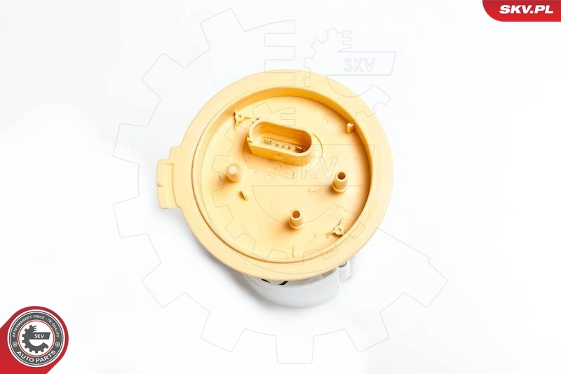 Fuel Feed Unit 02SKV727