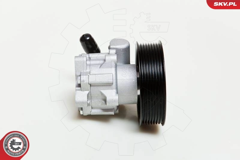 转向助力泵 10SKV039